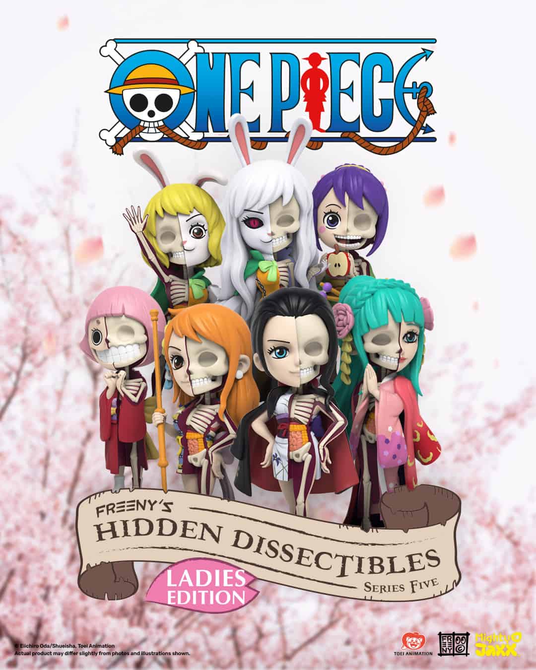 Freeny's Hidden Dissectibles: One Piece (Ladies Edition) - Image 3
