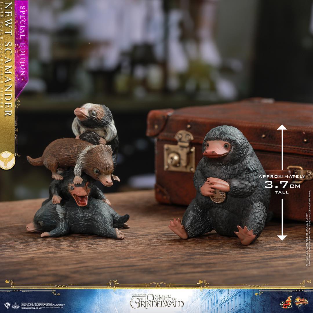 MMS512B - Fantastic Beasts: The Crimes of Grindelwald – Newt Scamander (Special Edition) - Image 9